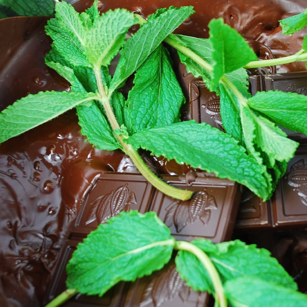 Vegan Organic Dark Chocolate with Fresh Caramelised Mint